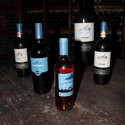Die Weine von Borgo Scopeto und Caparzo